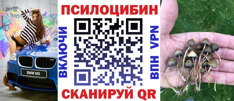 площадка состав  Барабинск  Псилоцибиновые грибы ЛСД 